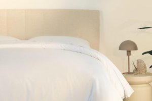 Bliss Attachable Headboard