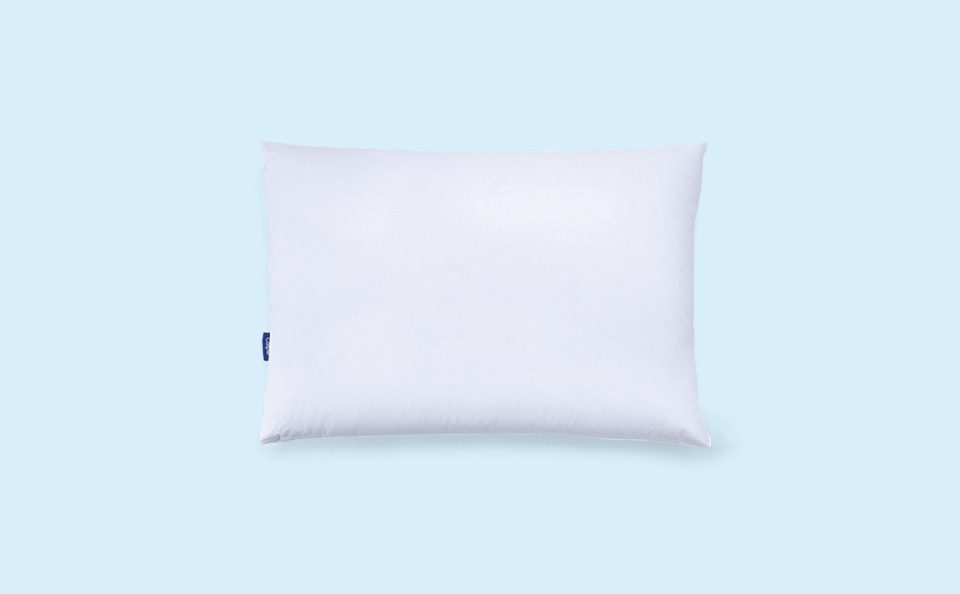 Down Pillow