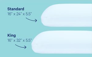 Hybrid Snow Pillow